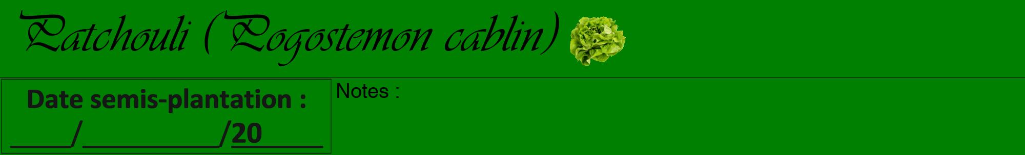 Étiquette de : Pogostemon cablin - format a - style noire9basiqueviv avec comestibilité simplifiée
