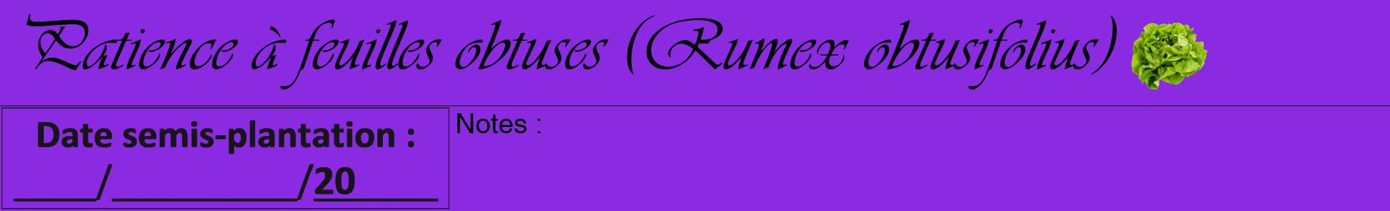 Étiquette de : Rumex obtusifolius - format a - style noire49viv avec comestibilité simplifiée