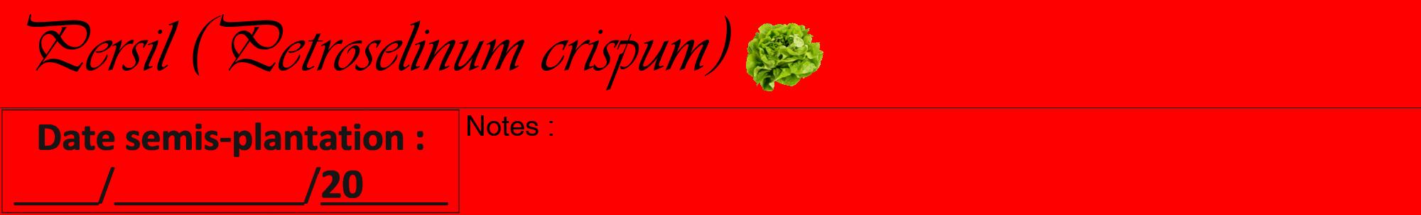 Étiquette de : Petroselinum crispum - format a - style noire27viv avec comestibilité simplifiée