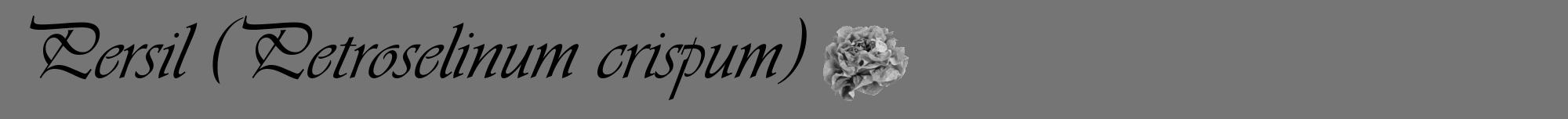 Étiquette de : Petroselinum crispum - format a - style noire5viv avec comestibilité simplifiée