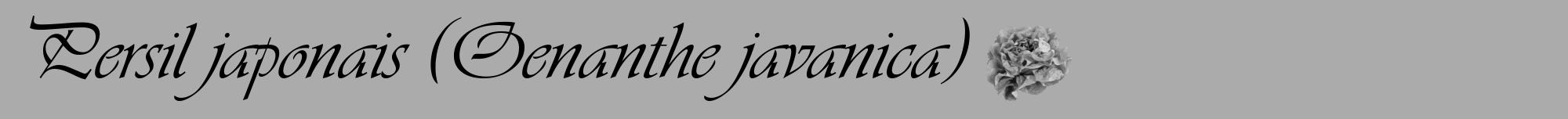 Étiquette de : Oenanthe javanica - format a - style noire37viv avec comestibilité simplifiée