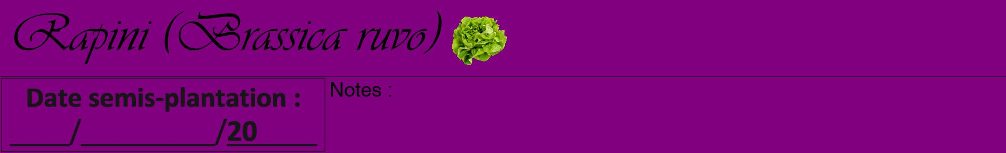 Étiquette de : Brassica ruvo - format a - style noire46viv avec comestibilité simplifiée