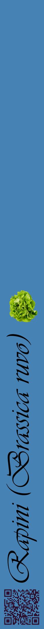 Étiquette de : Brassica ruvo - format a - style noire5viv avec qrcode et comestibilité simplifiée