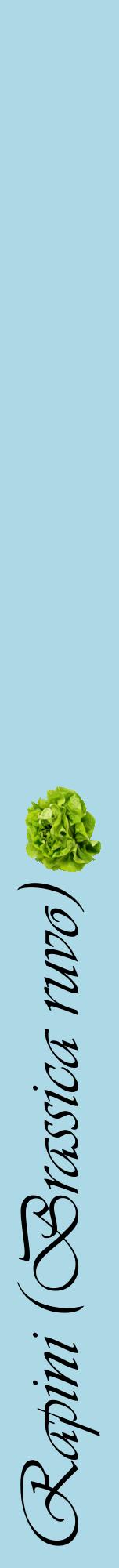 Étiquette de : Brassica ruvo - format a - style noire0viv avec comestibilité simplifiée