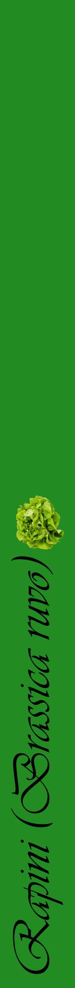 Étiquette de : Brassica ruvo - format a - style noire10viv avec comestibilité simplifiée