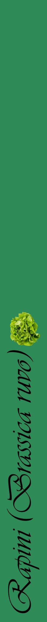 Étiquette de : Brassica ruvo - format a - style noire11viv avec comestibilité simplifiée
