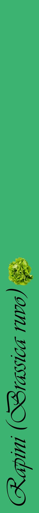 Étiquette de : Brassica ruvo - format a - style noire12viv avec comestibilité simplifiée