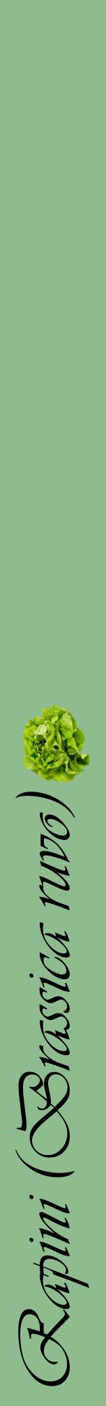 Étiquette de : Brassica ruvo - format a - style noire13viv avec comestibilité simplifiée