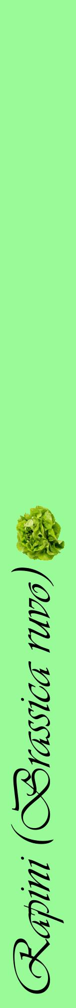 Étiquette de : Brassica ruvo - format a - style noire14viv avec comestibilité simplifiée
