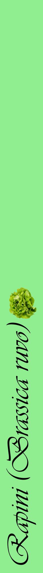 Étiquette de : Brassica ruvo - format a - style noire15viv avec comestibilité simplifiée