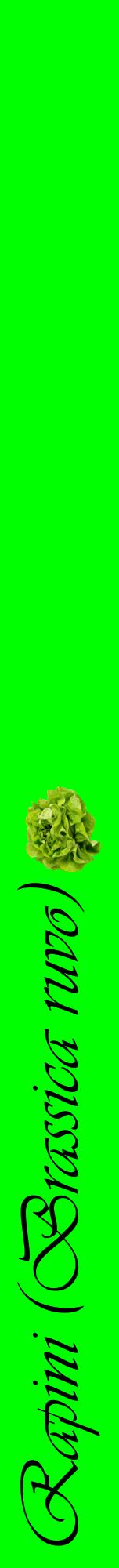 Étiquette de : Brassica ruvo - format a - style noire16viv avec comestibilité simplifiée