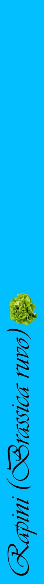 Étiquette de : Brassica ruvo - format a - style noire2viv avec comestibilité simplifiée