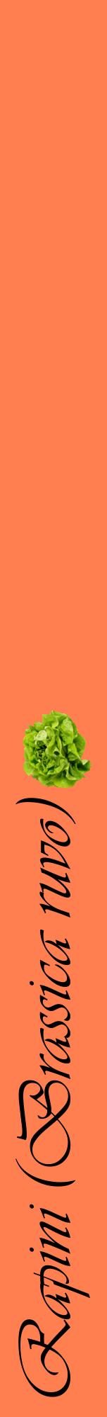 Étiquette de : Brassica ruvo - format a - style noire24viv avec comestibilité simplifiée