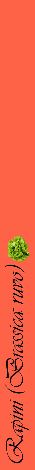Étiquette de : Brassica ruvo - format a - style noire25viv avec comestibilité simplifiée