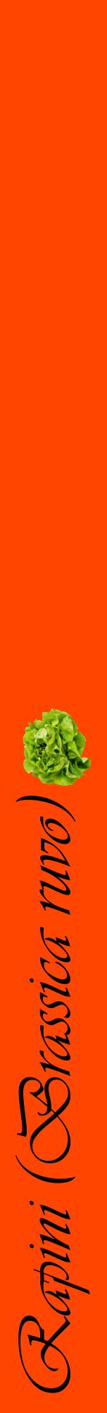 Étiquette de : Brassica ruvo - format a - style noire26viv avec comestibilité simplifiée