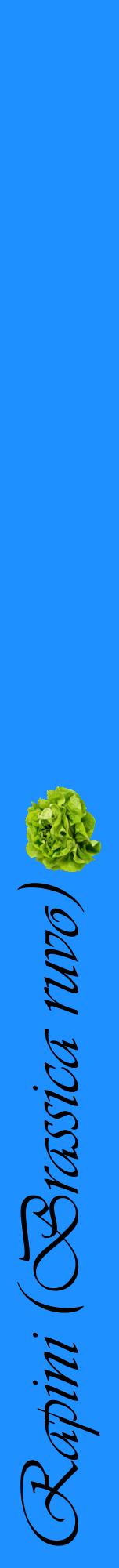 Étiquette de : Brassica ruvo - format a - style noire3viv avec comestibilité simplifiée