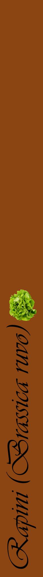 Étiquette de : Brassica ruvo - format a - style noire30viv avec comestibilité simplifiée