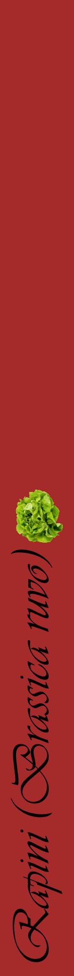 Étiquette de : Brassica ruvo - format a - style noire33viv avec comestibilité simplifiée