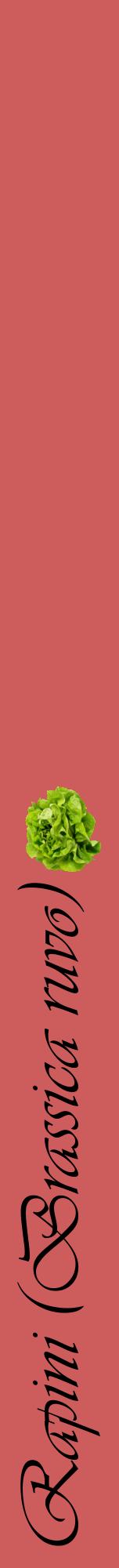 Étiquette de : Brassica ruvo - format a - style noire35viv avec comestibilité simplifiée