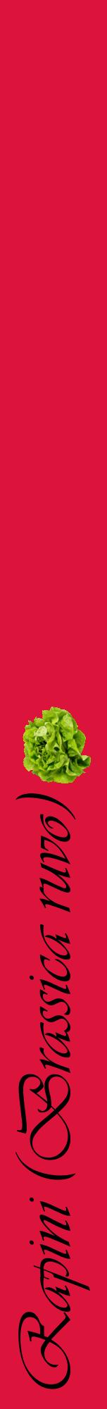 Étiquette de : Brassica ruvo - format a - style noire36viv avec comestibilité simplifiée