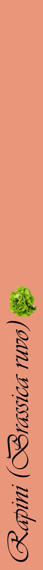Étiquette de : Brassica ruvo - format a - style noire37viv avec comestibilité simplifiée