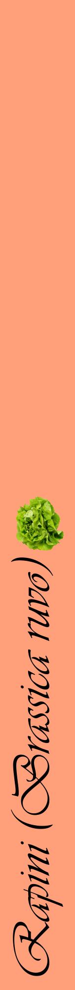 Étiquette de : Brassica ruvo - format a - style noire39viv avec comestibilité simplifiée