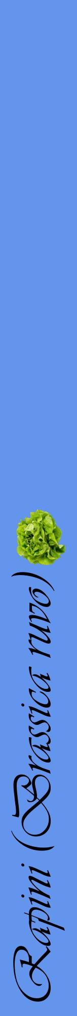 Étiquette de : Brassica ruvo - format a - style noire4viv avec comestibilité simplifiée
