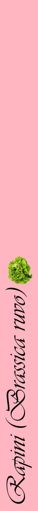 Étiquette de : Brassica ruvo - format a - style noire41viv avec comestibilité simplifiée