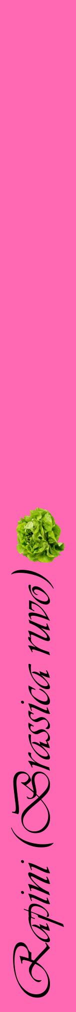 Étiquette de : Brassica ruvo - format a - style noire42viv avec comestibilité simplifiée