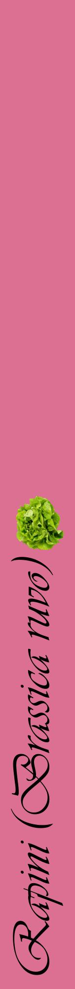 Étiquette de : Brassica ruvo - format a - style noire44viv avec comestibilité simplifiée