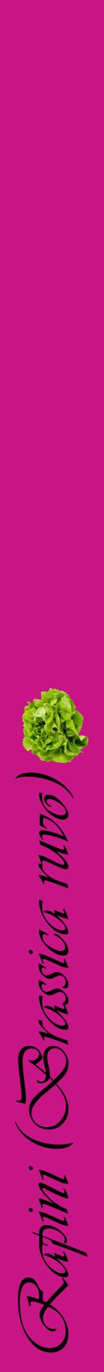 Étiquette de : Brassica ruvo - format a - style noire45viv avec comestibilité simplifiée