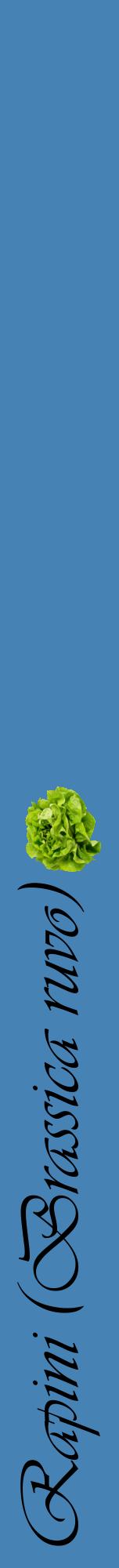 Étiquette de : Brassica ruvo - format a - style noire5viv avec comestibilité simplifiée