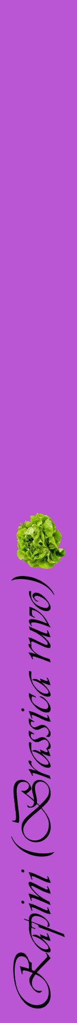 Étiquette de : Brassica ruvo - format a - style noire50viv avec comestibilité simplifiée