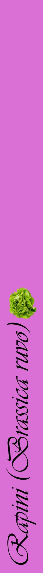 Étiquette de : Brassica ruvo - format a - style noire52viv avec comestibilité simplifiée