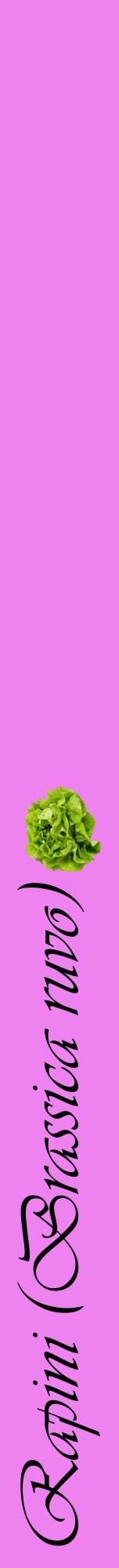 Étiquette de : Brassica ruvo - format a - style noire53viv avec comestibilité simplifiée