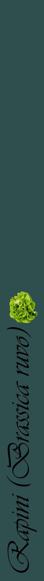 Étiquette de : Brassica ruvo - format a - style noire58viv avec comestibilité simplifiée