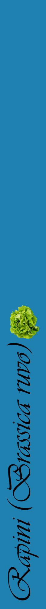 Étiquette de : Brassica ruvo - format a - style noire6viv avec comestibilité simplifiée