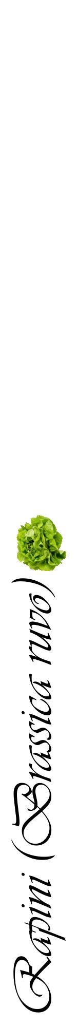 Étiquette de : Brassica ruvo - format a - style noire60viv avec comestibilité simplifiée