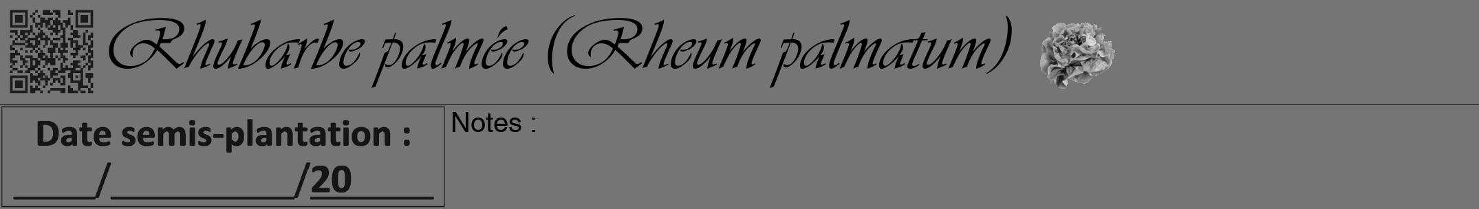 Étiquette de : Rheum palmatum - format a - style noire5viv avec qrcode et comestibilité simplifiée