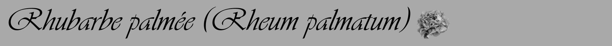 Étiquette de : Rheum palmatum - format a - style noire13viv avec comestibilité simplifiée