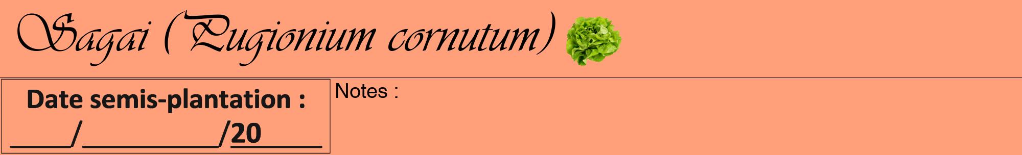 Étiquette de : Pugionium cornutum - format a - style noire39basiqueviv avec comestibilité simplifiée