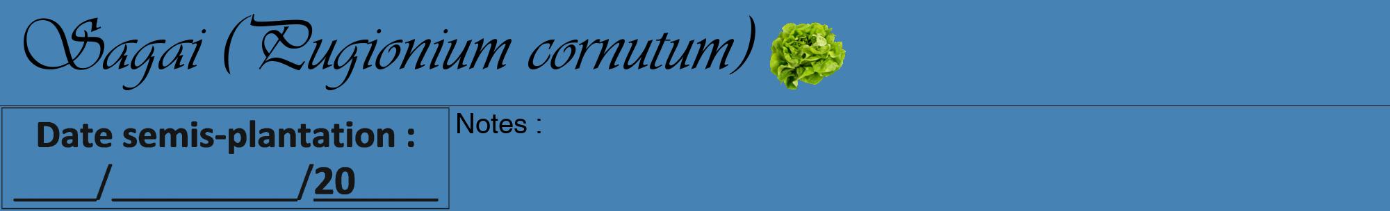 Étiquette de : Pugionium cornutum - format a - style noire5viv avec comestibilité simplifiée
