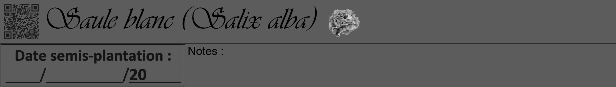 Étiquette de : Salix alba - format a - style noire49viv avec qrcode et comestibilité simplifiée