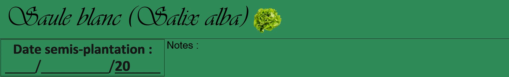 Étiquette de : Salix alba - format a - style noire11viv avec comestibilité simplifiée