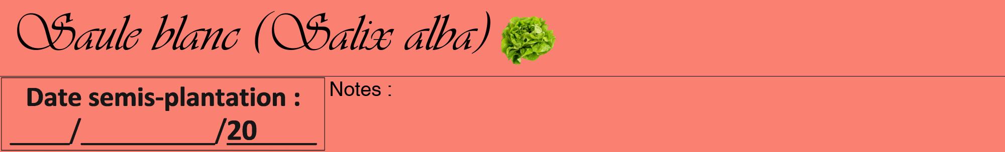 Étiquette de : Salix alba - format a - style noire38viv avec comestibilité simplifiée
