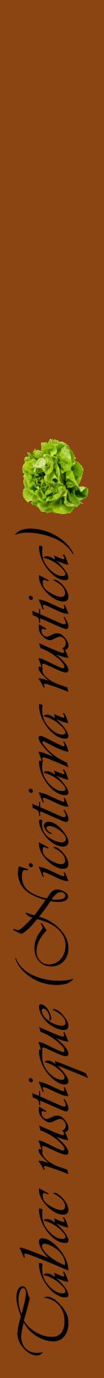 Étiquette de : Nicotiana rustica - format a - style noire30viv avec comestibilité simplifiée