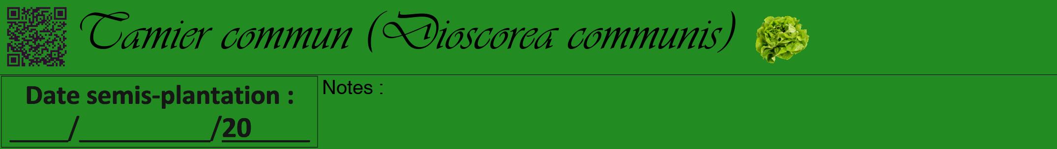 Étiquette de : Dioscorea communis - format a - style noire10viv avec qrcode et comestibilité simplifiée