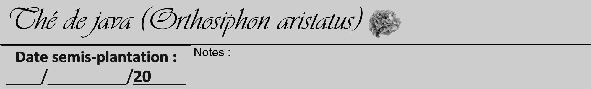 Étiquette de : Orthosiphon aristatus - format a - style noire41viv avec comestibilité simplifiée