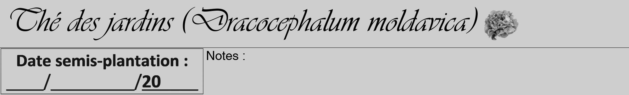 Étiquette de : Dracocephalum moldavica - format a - style noire17viv avec comestibilité simplifiée