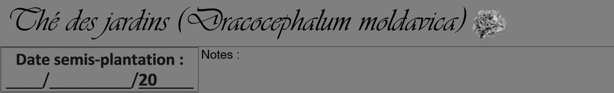 Étiquette de : Dracocephalum moldavica - format a - style noire57viv avec comestibilité simplifiée